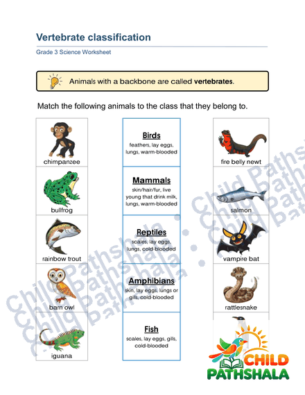Elementary Science & STEM Explorers Discovery Activity Book — preview slideshow