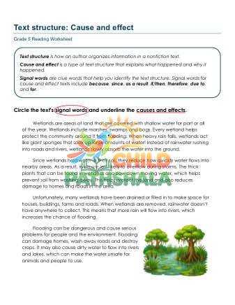 Cause Effect B Worksheet for Grade 5