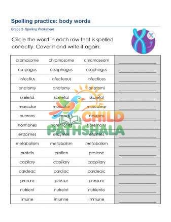 Spelling Challenge 3 Worksheet for Grade 5