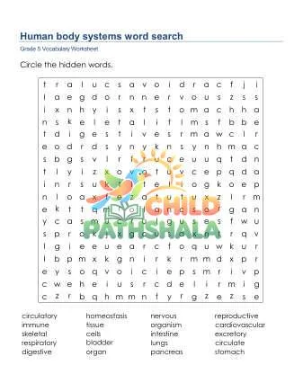 Preview of Human Body Systems Word Search