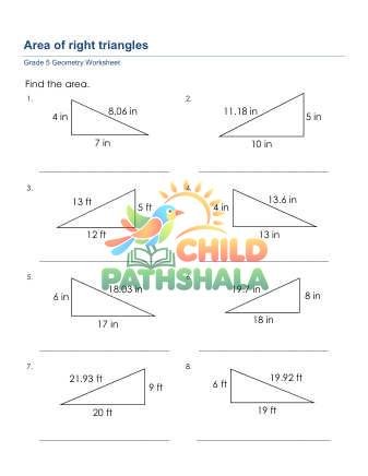Area Of Right Triangles E Worksheet for Grade 5