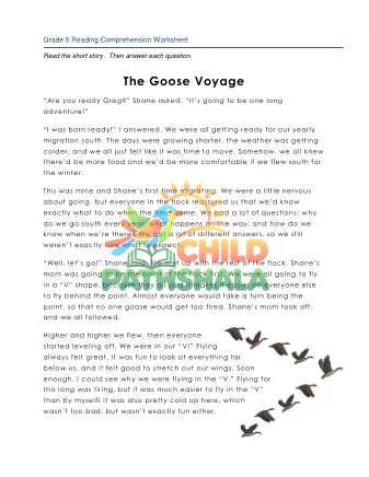Preview of 5 Goose Voyage