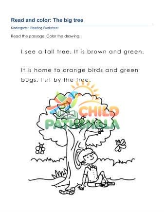 Read And Color C