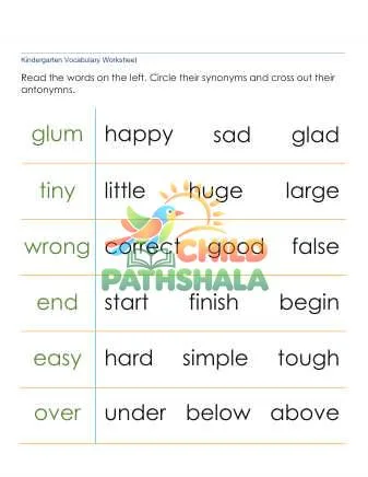 Preview of Synonyms Antonyms Circle Cross Words
