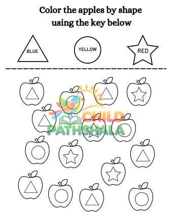 Preview of Colors The Shape Color The Shape