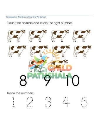 Counting Number Recognition 10