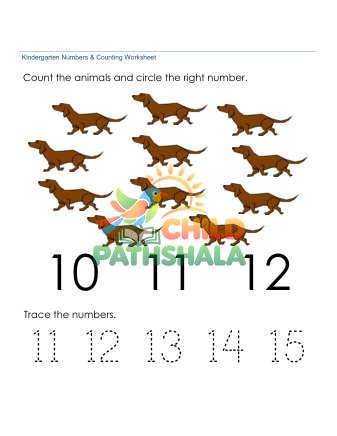 Counting Number Recognition 11