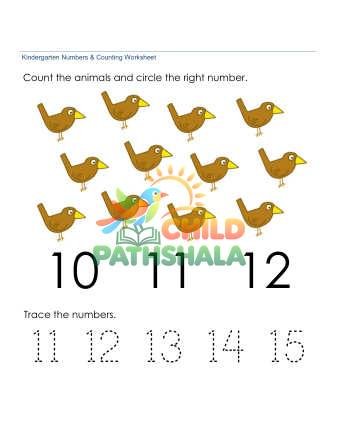 Counting Number Recognition 12 Worksheet for Kindergarten