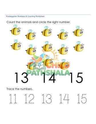 Counting Number Recognition 13