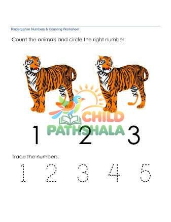 Counting Number Recognition 2