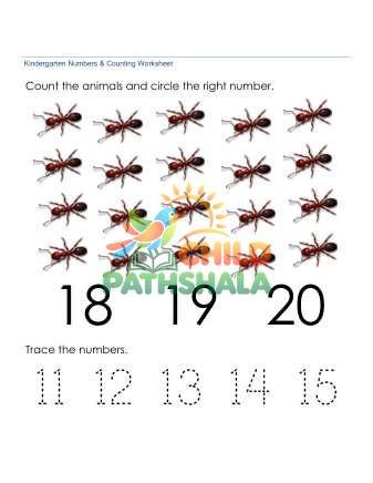 Preview of Counting Number Recognition 20