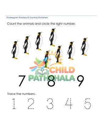 Preview of Counting Number Recognition 8