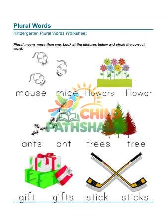 Preview of Circle Words Plural Words