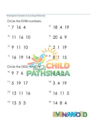 Identify Even Odd Numbers preview