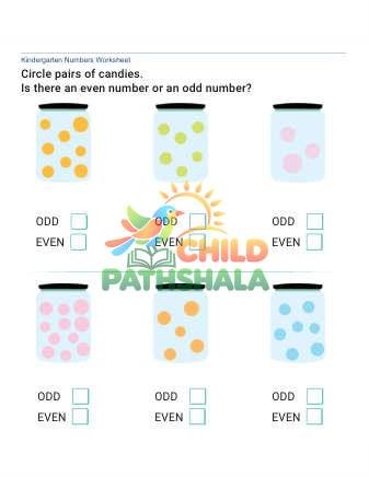 Learn Even Odd Numbers 6