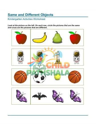 Preview of Same Objects