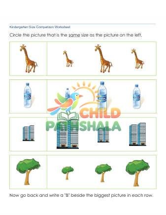Same Size Picture 1