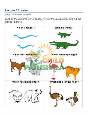 Preview of Measurement Longer Shorter A