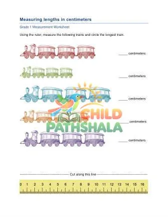 Preview of Measurement Ruler Cm