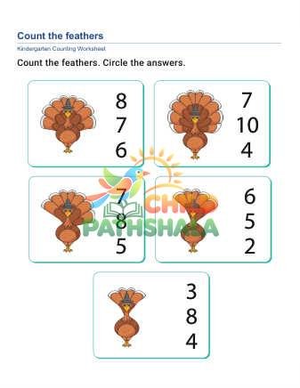 Count Match 10 C Worksheet for Grade 1