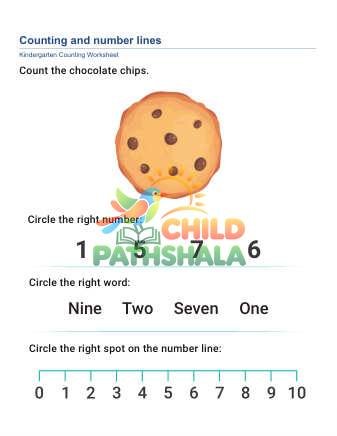 Preview of Count Number Line D