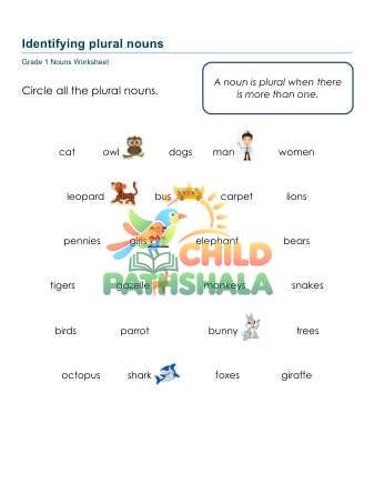 Identify Plural Nouns B
