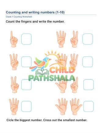 Counting Writing Numbers A Worksheet for Grade 1
