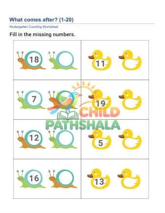 Preview of Number Before After