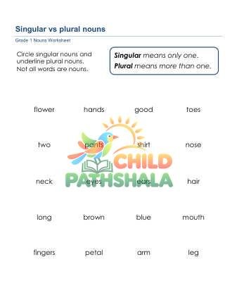 Preview of Nouns Singular Plural B