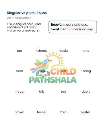 Preview of Nouns Singular Plural C