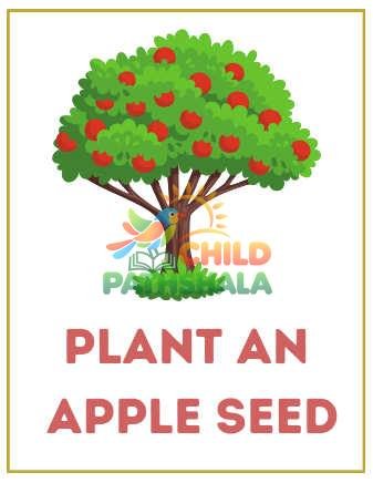 Preview of Apple Orchard