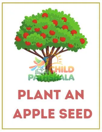 Preview of Apple Orchard
