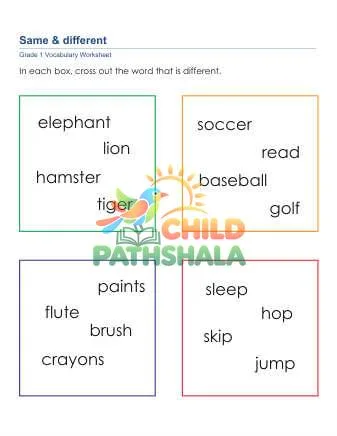 Preview of Categorization Wrong Word