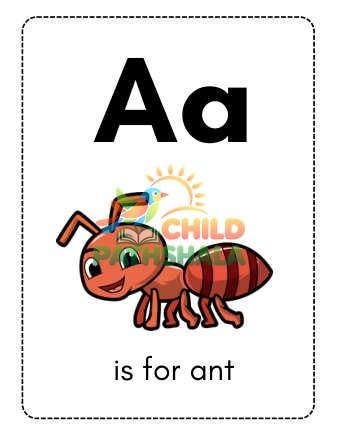 Preview of Flash Cards Flashcards