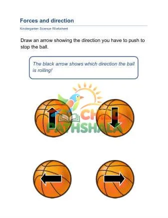 Preview of Forces Interaction Direction