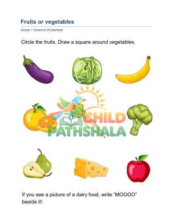 Preview of Fruits Vegetables