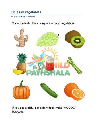 Fruits Vegetables B