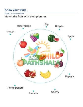 Fruits Vegetables C