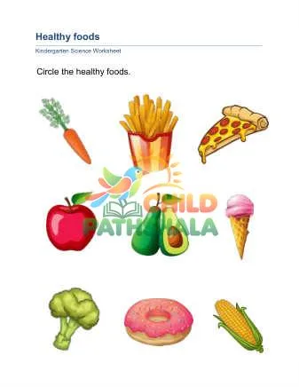 Preview of Healthy Foods