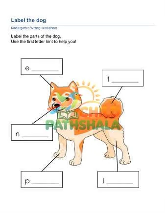 Preview of Labelling