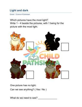 Light Dark A Worksheet for Grade 1
