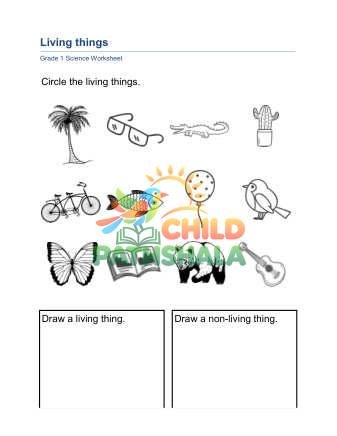 Living Things A Part 1