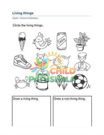 Living Things B Part 1