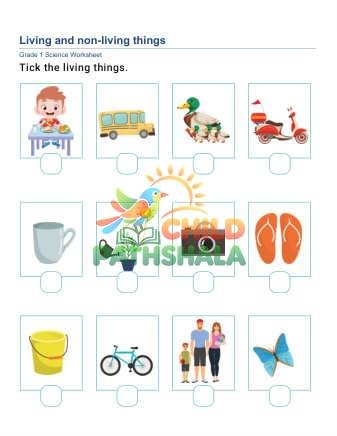 Living Things C Worksheet for Grade 1
