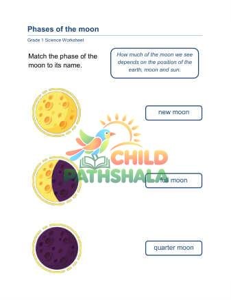 Moon Phases Worksheet for Grade 1