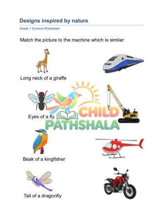 Nature Machines B Worksheet for Grade 1