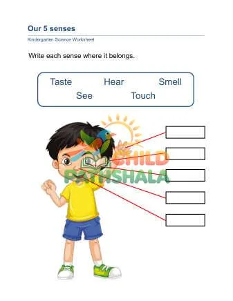 Preview of Our 5 Senses