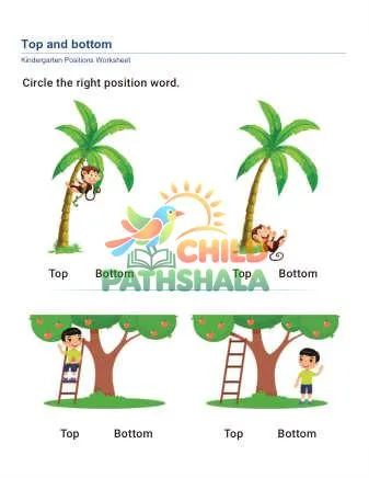 Preview of Position Worksheet Top Bottom