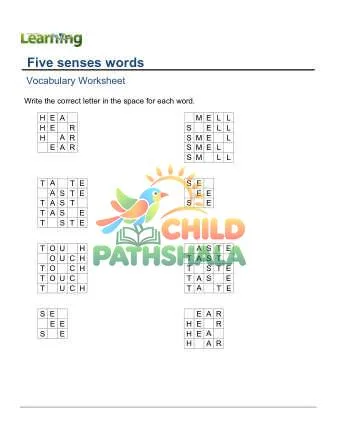 Preview of Practice Words Five Senses