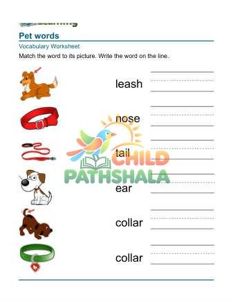 Preview of Practice Words Pets 6